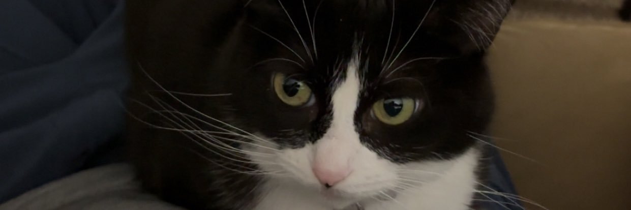 jackhank624's profile banner image