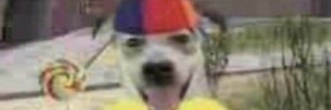 fentanyl_potion's profile banner image