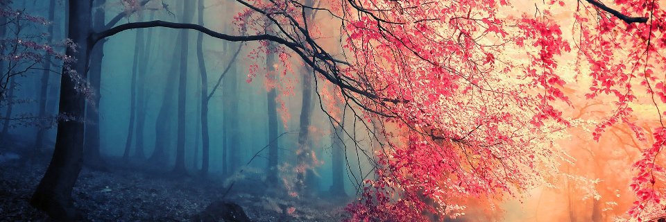 DonnaMaracca's profile banner image