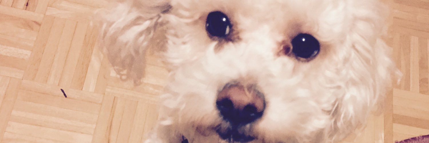 Suzzzjacqu's profile banner image