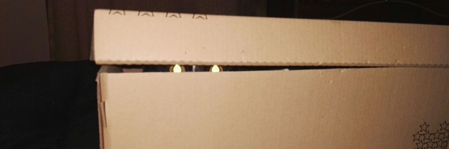 Meim_cl's profile banner image