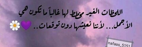 💜 نورة 💜 banner