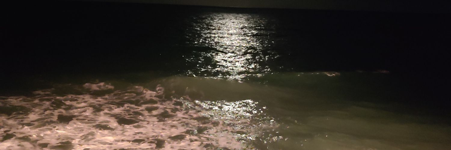 Belennnnn. banner