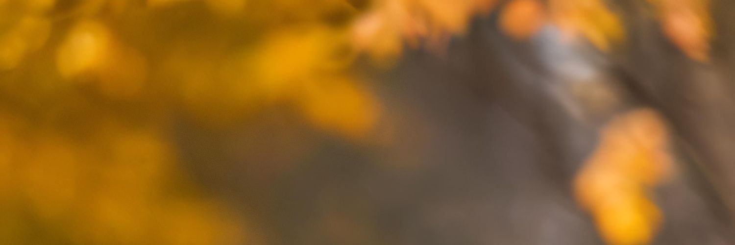 PetiteJoke's profile banner image