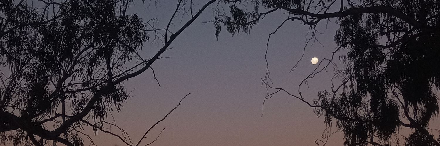 SanMLea's profile banner image