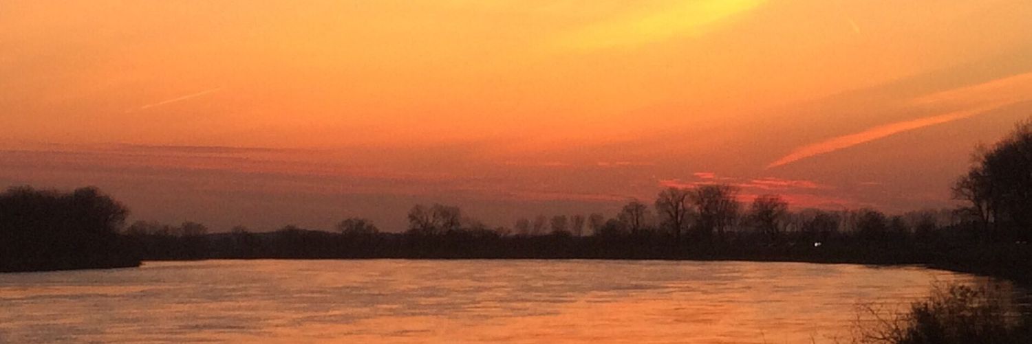 KCCCK94's profile banner image