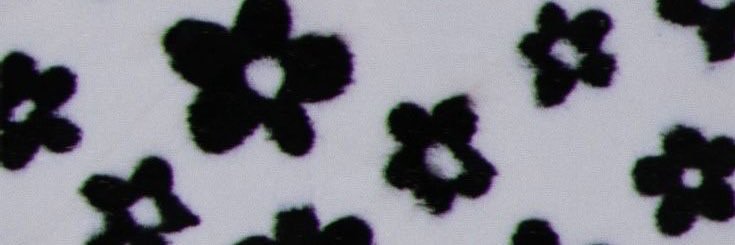 wehner_11's profile banner image