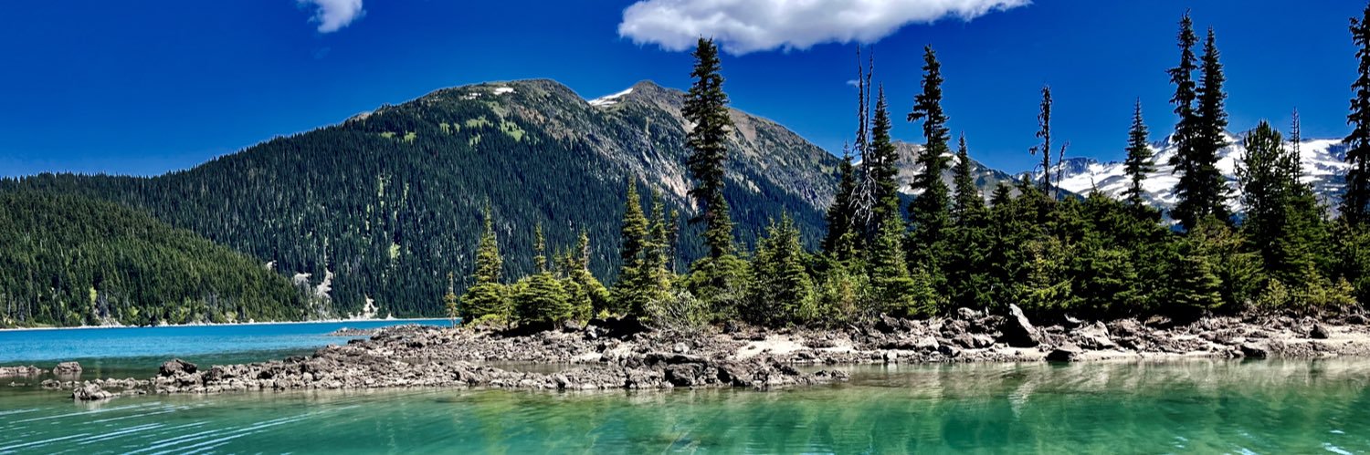 Heidi Paterson banner