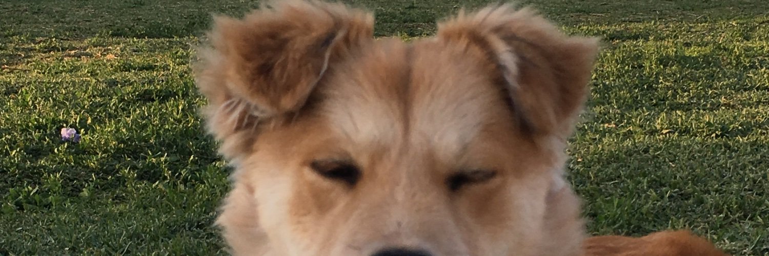 zwhitted's profile banner image