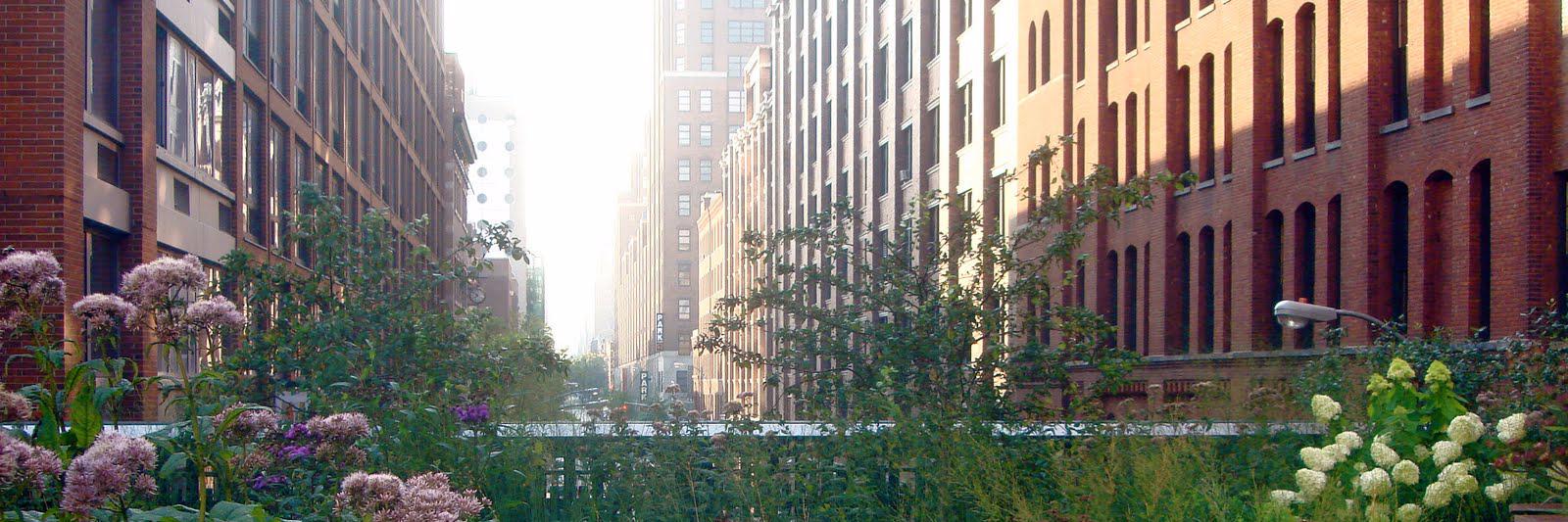 Mike Saunders banner