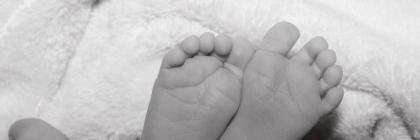 Solano_Luisa's profile banner image