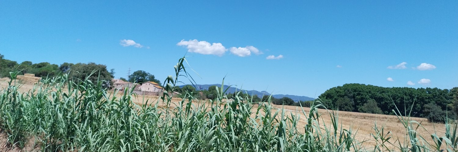 Isabel Almató Pi banner