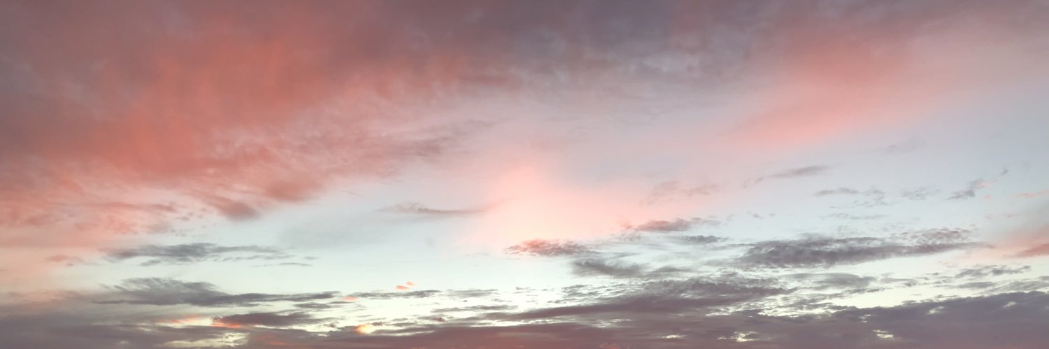 MadisonCattt's profile banner image