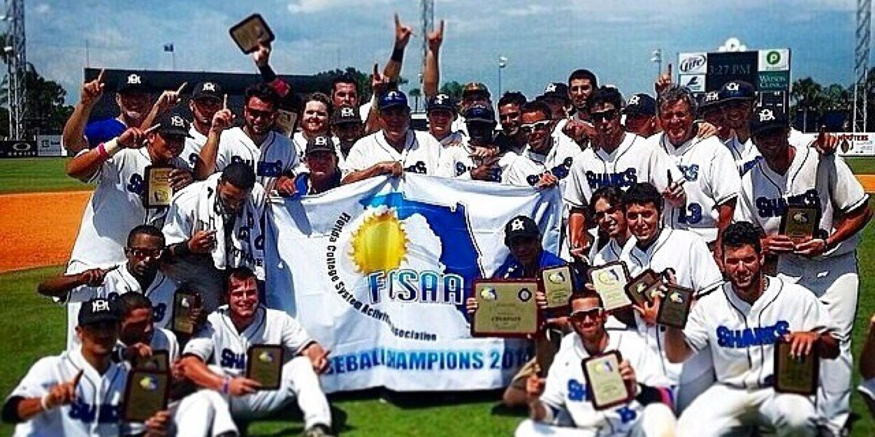 Sharks Baseball banner