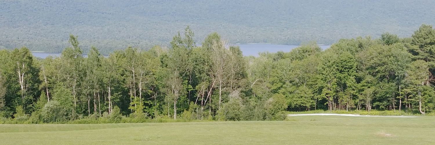 npopolo's profile banner image