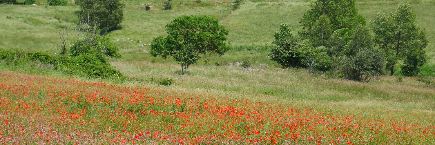narvic 🇪🇺🇫🇷 banner