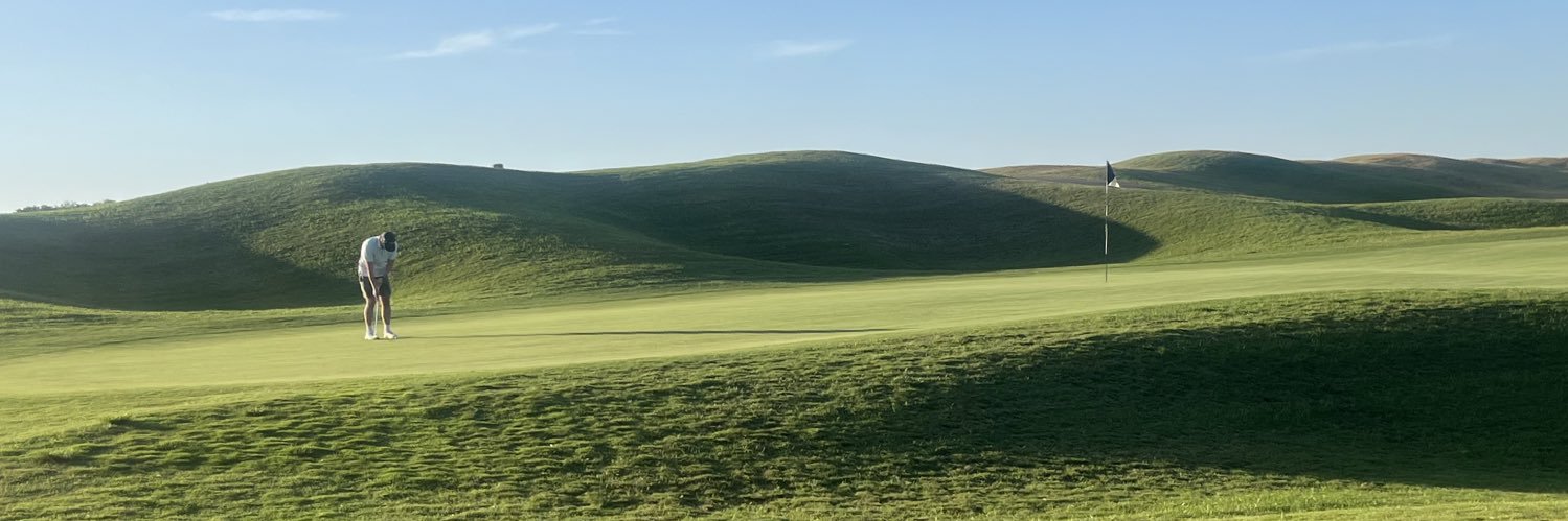 LZingarella's profile banner image