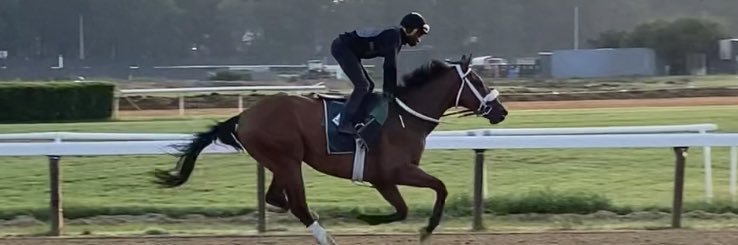 Joe Tartaglia banner