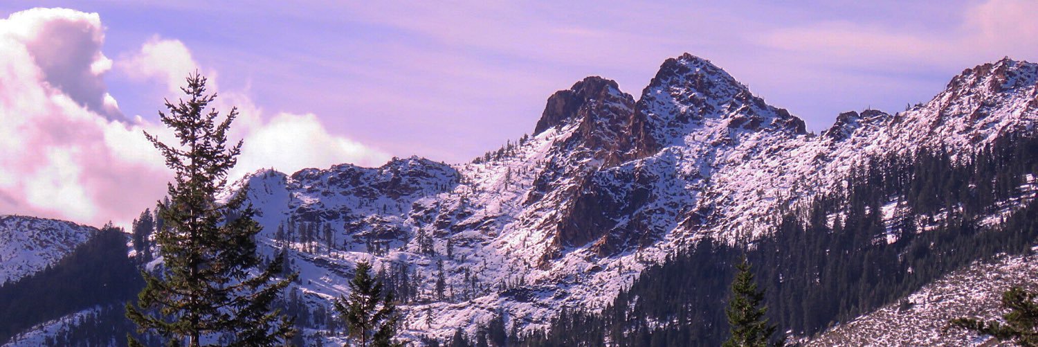 Fronckalicious's profile banner image