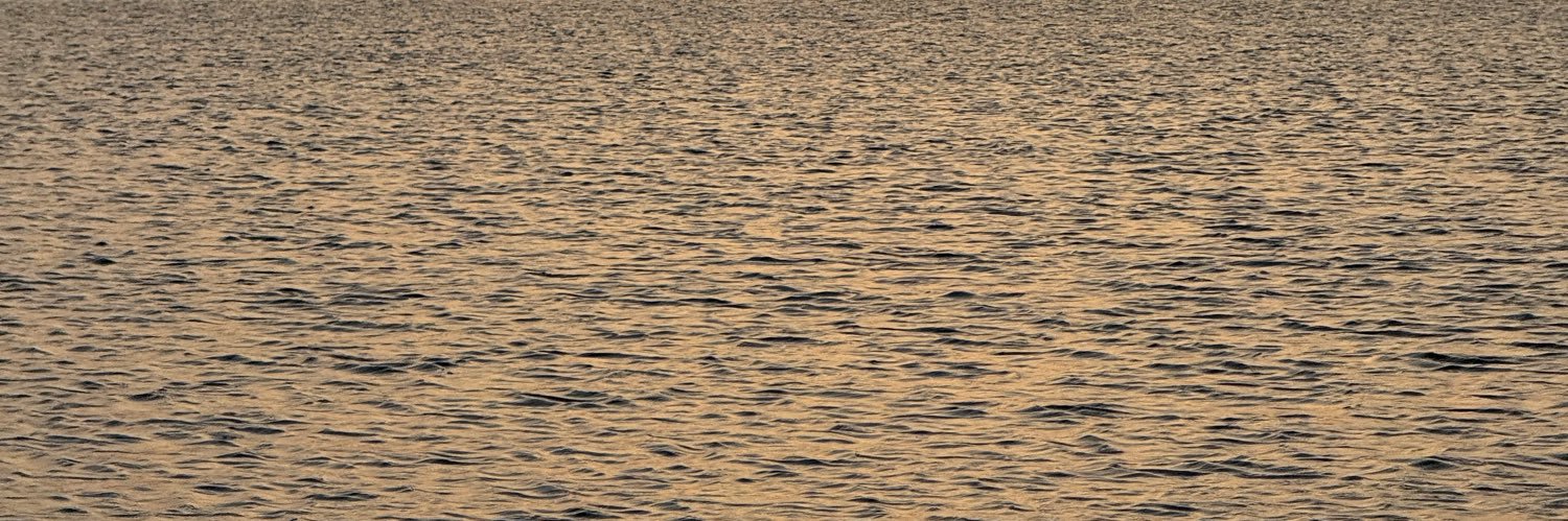 Reem_n01's profile banner image