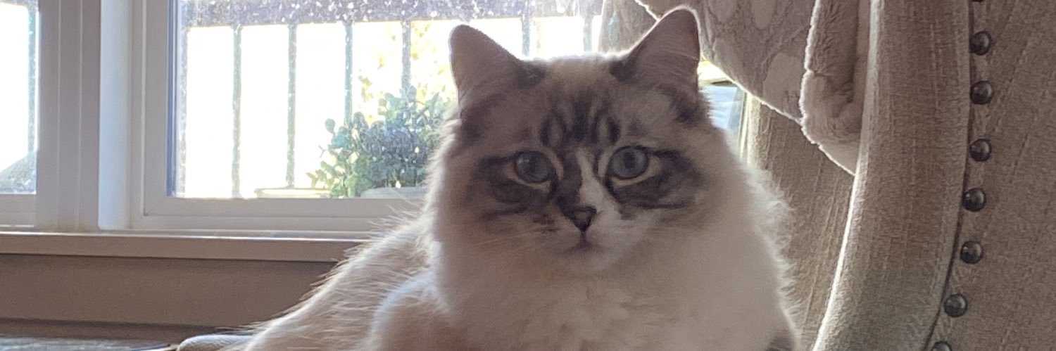 Myashell's profile banner image