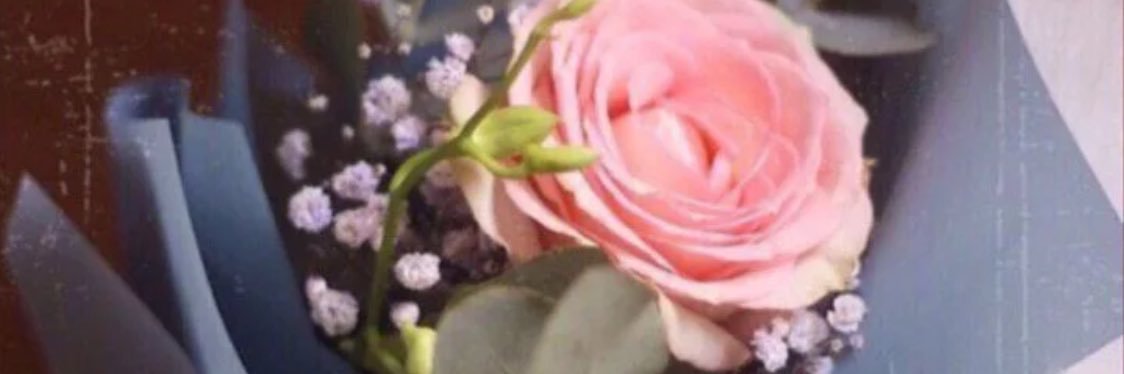 Almasa3211's profile banner image