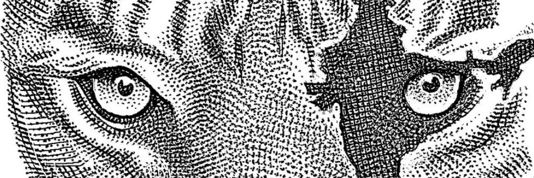2tucked's profile banner image