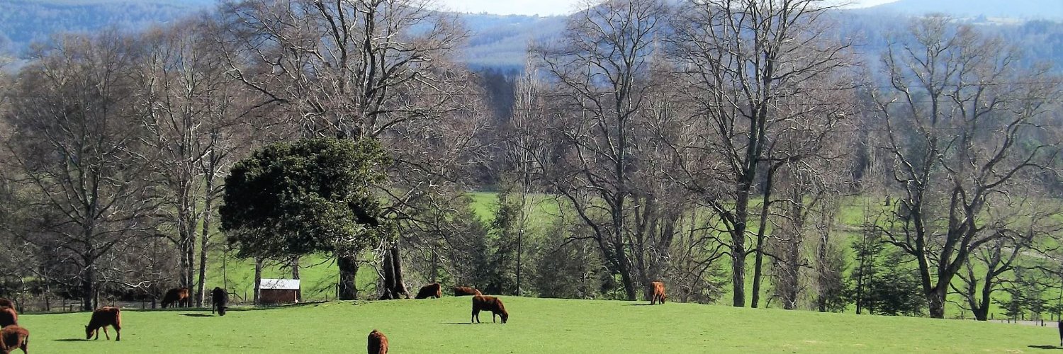 Jacinto Navarro C. banner