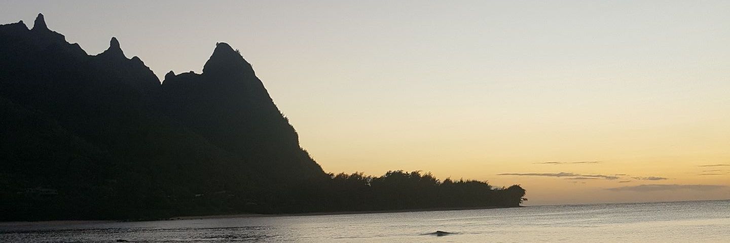 mcdam2's profile banner image