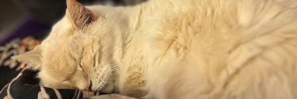 Hstevens5 Profile Banner