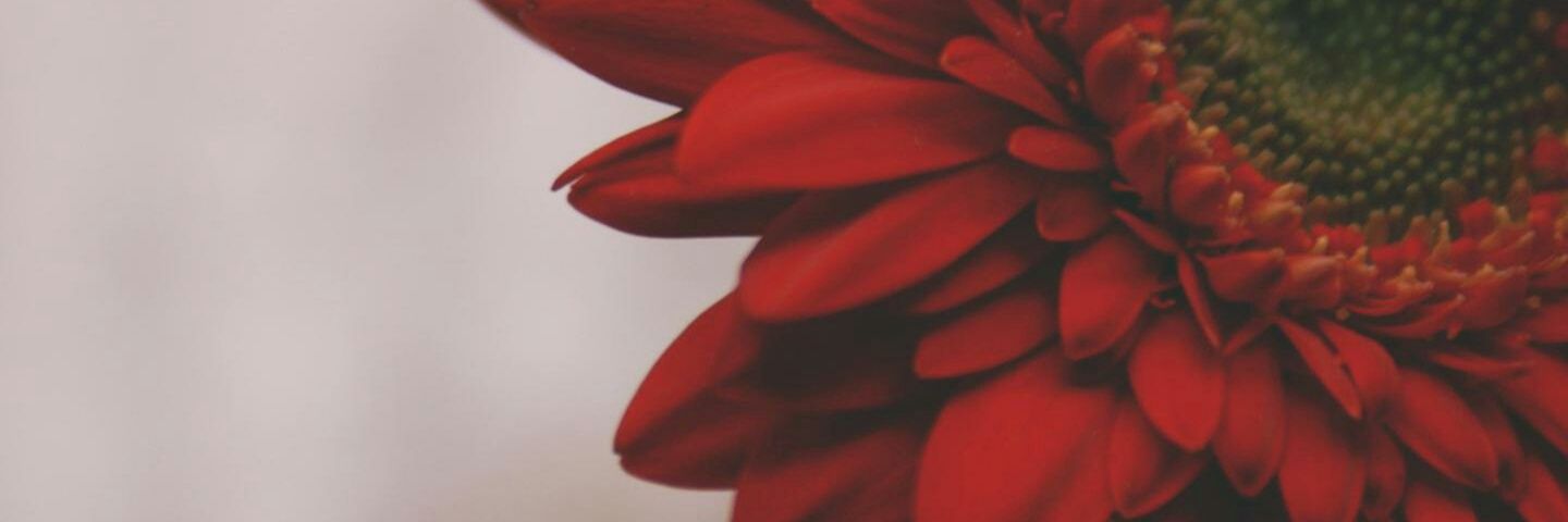 AndreaBlanco17's profile banner image