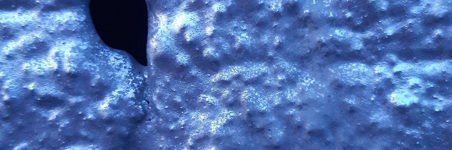 inês malheiro banner