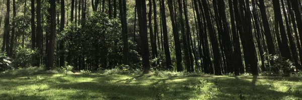 sandywhisnu Profile Banner