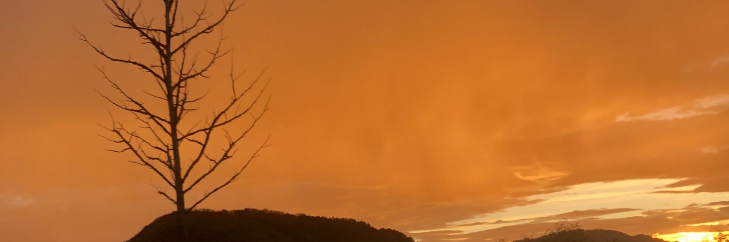 iionader's profile banner image