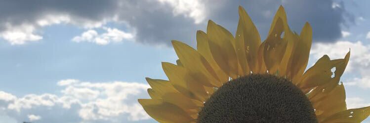 HannahFritts's profile banner image