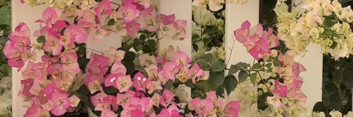 mohammed_yh's profile banner image