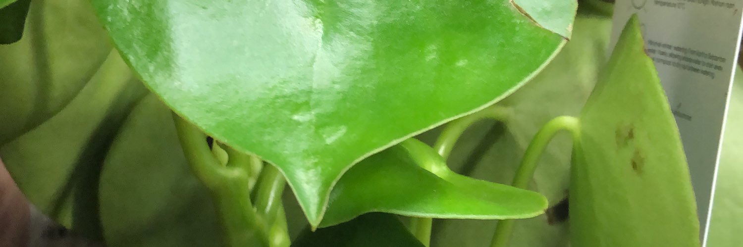 GlamsDiva's profile banner image