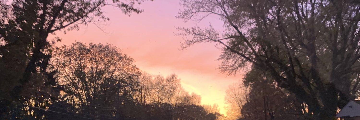 Brie_64's profile banner image
