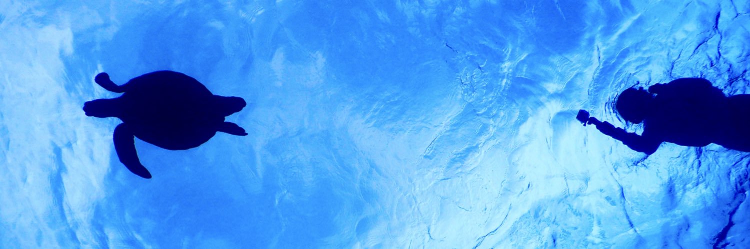 uchibaby's profile banner image