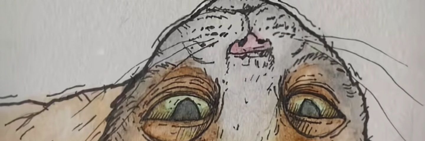 NF_887's profile banner image