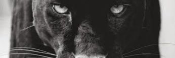 sammdavis19's profile banner image