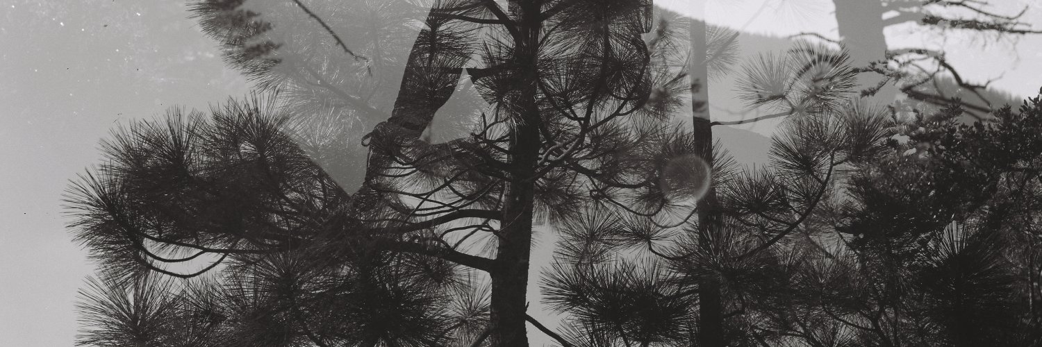 viksoos's profile banner image