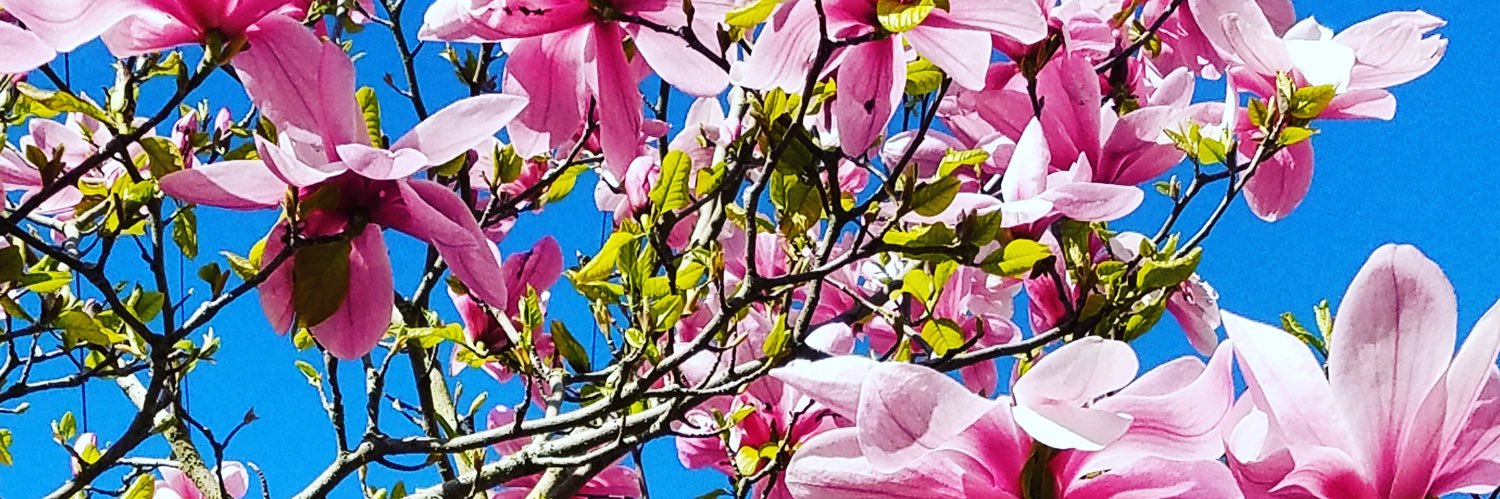 ᴄʀɪsᴛʏ ♡ banner