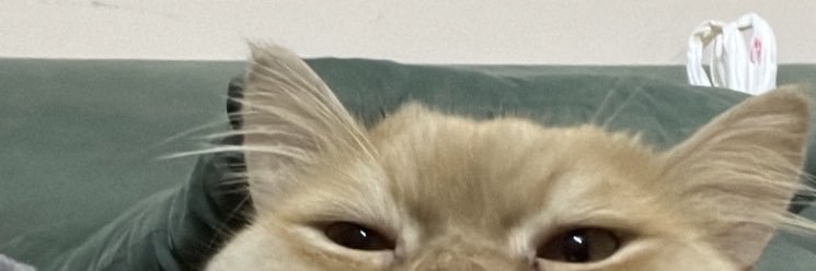 darinoo12's profile banner image