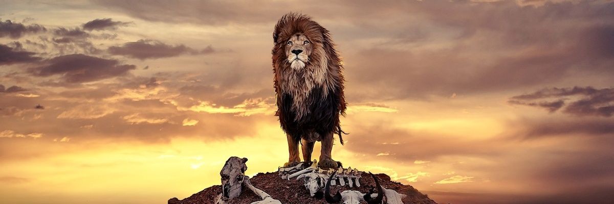 jaysel85's profile banner image