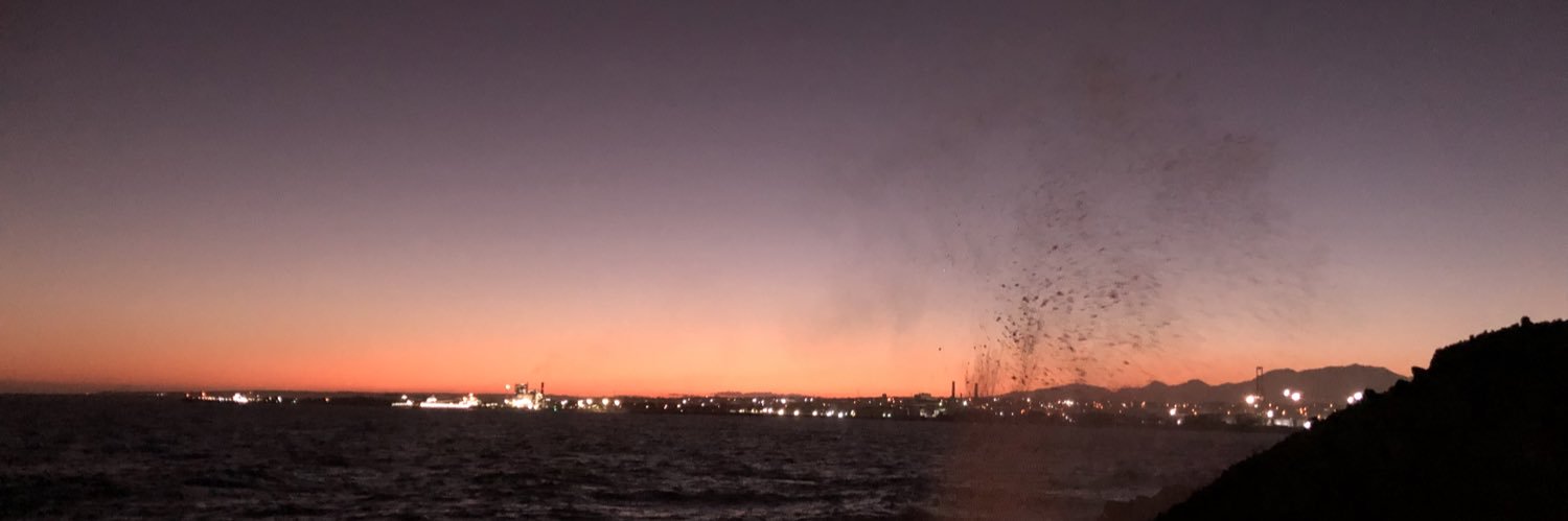 CamiilaT_'s profile banner image
