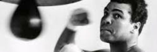 CalvoGermn's profile banner image