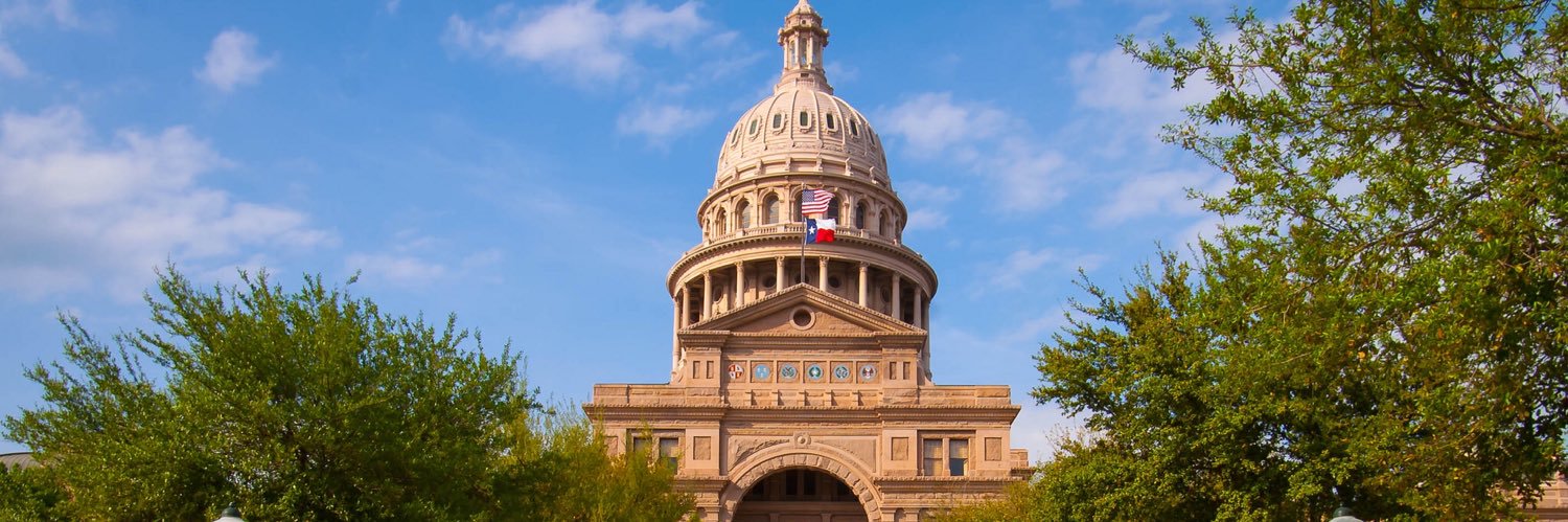 Texas Government banner