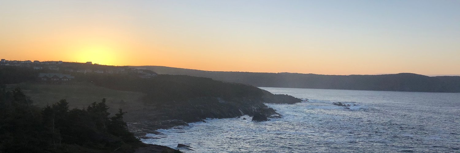 findingjulianne's profile banner image