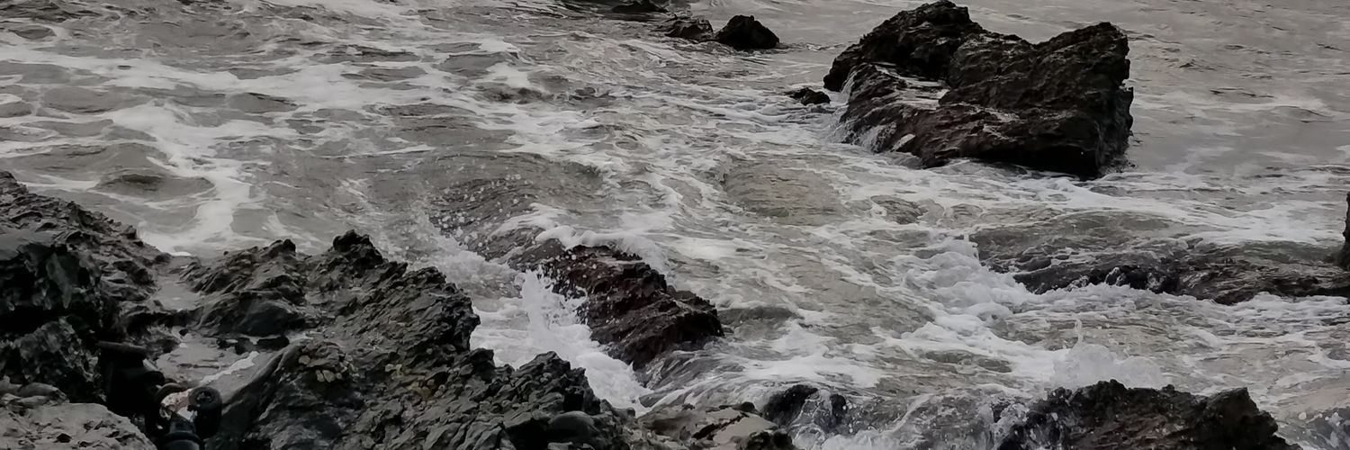 illtutmish's profile banner image
